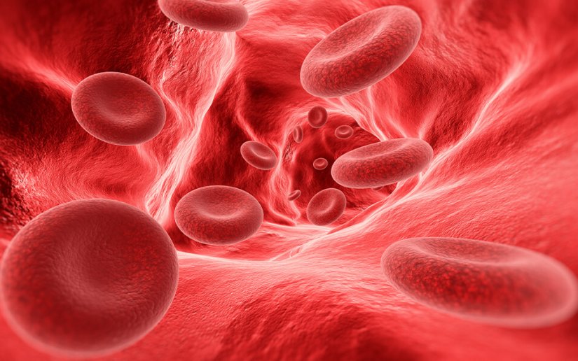 Hemofili Nedir, Belirtileri ve Tedavi Yöntemleri Nelerdir?