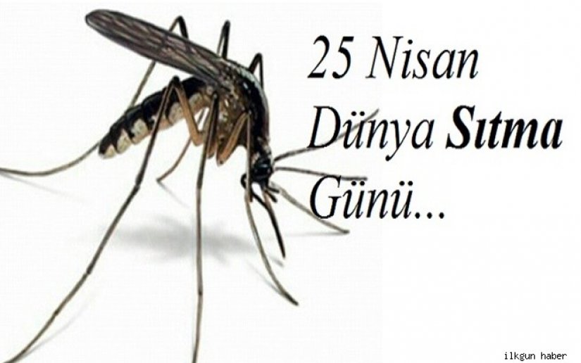 25 Nisan Dünya Sıtma Günü