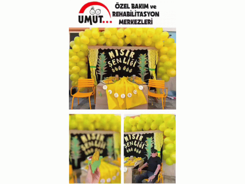 MISIR ŞENLİĞİ